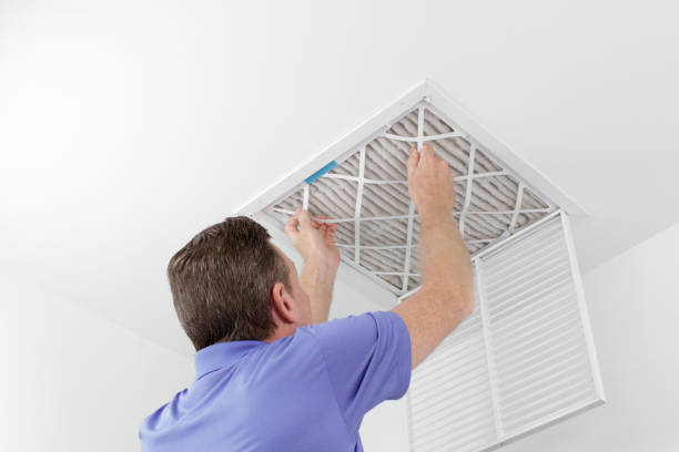 Best Local Air Duct Cleaning Services  in Chariton, IA